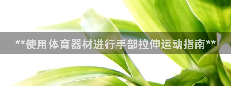 极悦平台官网入口下载
