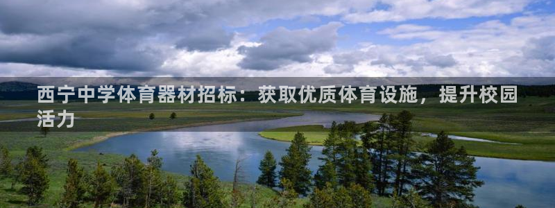 极悦平台注册流程详解视频：西宁中学体育器材招标：获取
