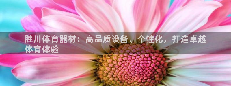 极悦娱乐负责人怎么样：胜川体育器材：高品质设备、个性