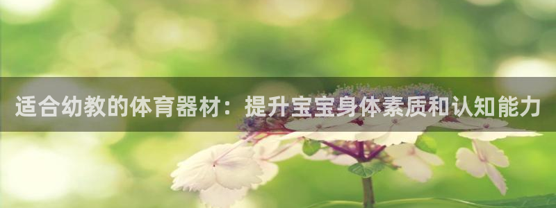 极悦平台官方网站首页登录：适合幼教的体育器材：提升宝