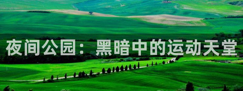 极悦娱乐官网入口网站：夜间公园：黑暗中的运动天堂