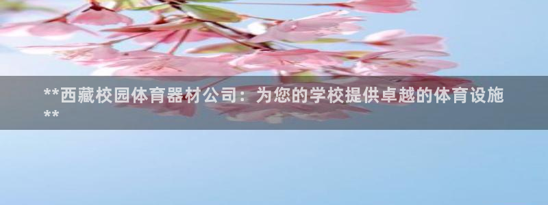 极悦是什么牌子空调的：**西藏校园体育器材公司：为您