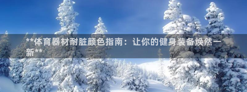 极悦平台注册用户名格式错误：**体育器材耐脏颜色指南
