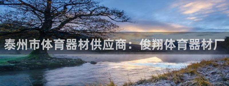 极悦官方网站app下载安卓：泰州市体育器材供应商：俊