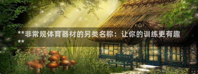 极悦平台注册流程视频：**非常规体育器材的另类名称：