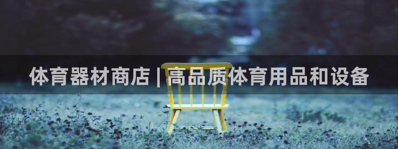 极悦平台注册申请流程详解图：体育器材商店 | 高品质