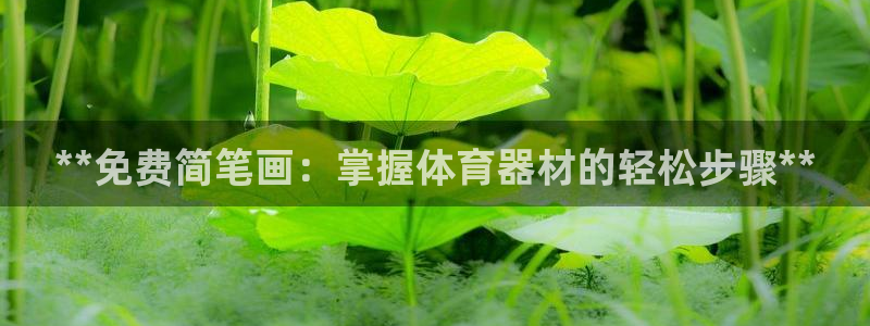 极悦平台用户评价与反馈在哪里：**免费简笔画：掌握体