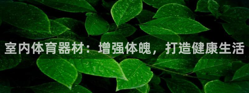 极悦平台官方网站首页登录：室内体育器材：增强体魄，打