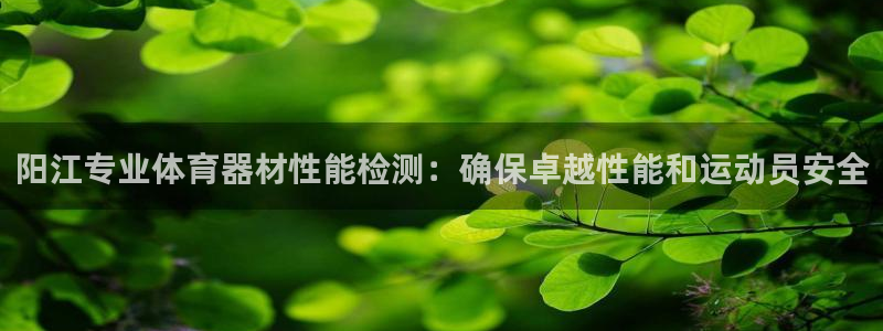 极悦娱乐创始人背景故事：阳江专业体育器材性能检测：确