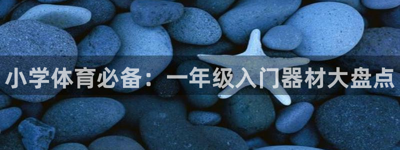 极悦娱乐登录拒绝访问怎么办啊：小学体育必备：一年级入