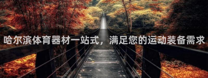 极悦平台使用注意事项有哪些：哈尔滨体育器材一站式，满