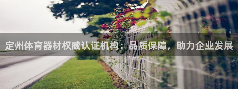 极悦平台的注册流程及注意事项：定州体育器材权威认证机