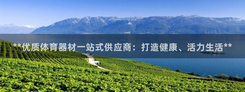 极悦平台代理怎么赚钱的：**优质体育器材一站式供应商