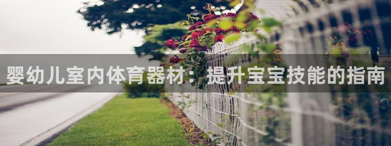 极悦平台app安全吗是真的吗：婴幼儿室内体育器材：提