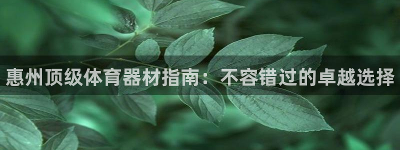 极悦平台官方网址是多少：惠州顶级体育器材指南：不容错