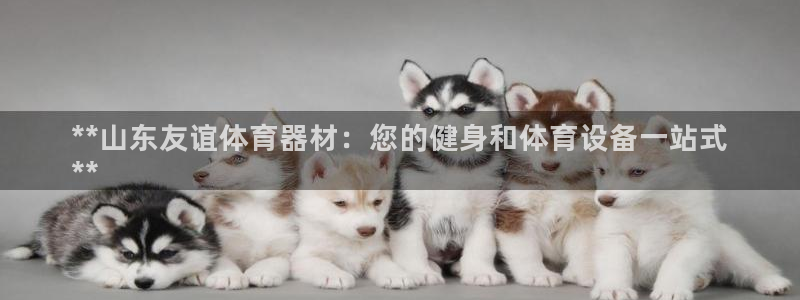 极悦官网的登录方法是什么：**山东友谊体育器材：您的