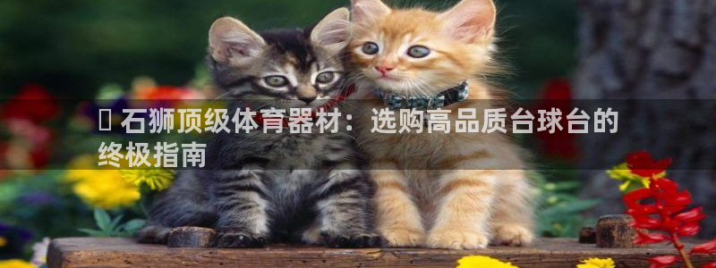 极悦娱乐代理怎么样知乎：✔ 石狮顶级体育器材：选购高