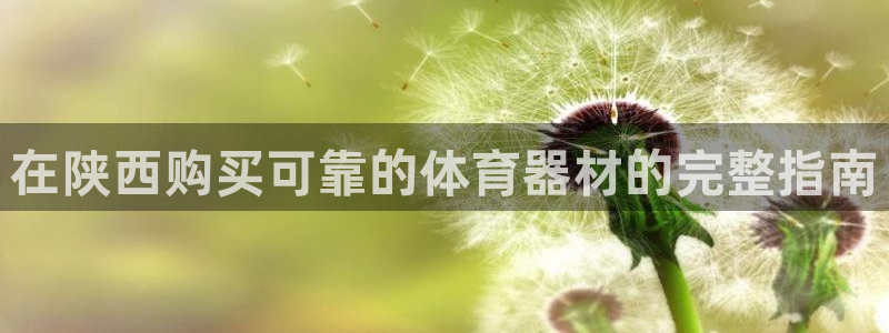 极悦娱乐公司最新招聘信息网：在陕西购买可靠的体育器材