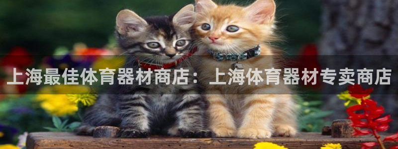 极悦平台用户反馈和反馈