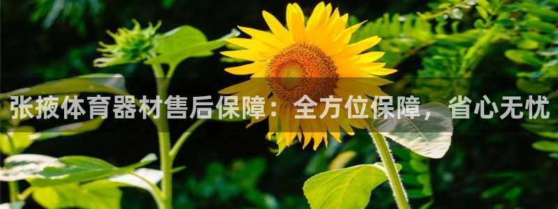 极悦平台官网登录入口网址：张掖体育器材售后保障：全方