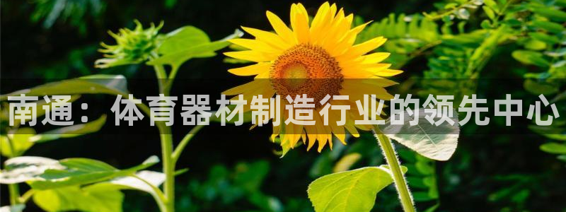 极悦平台安全吗是真的吗：南通：体育器材制造行业的领先