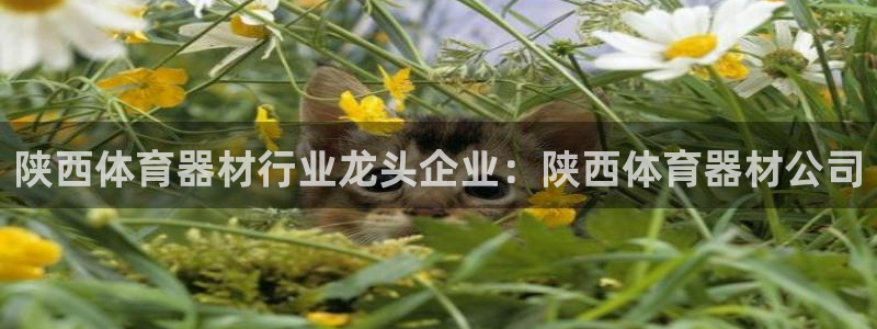 极悦平台注册用户名格式错误：陕西体育器材行业龙头企业