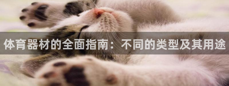 极悦娱乐会被骗吗知乎小说：体育器材的全面指南：不同的