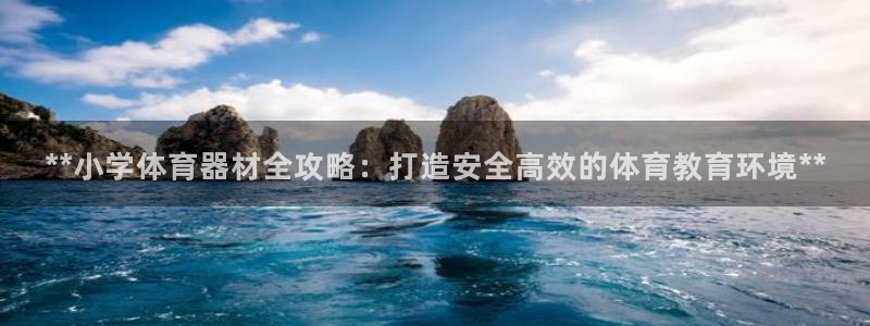 极悦官网注册最新版本更新内容：**小学体育器材全攻略