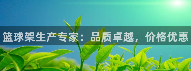 极悦平台代理怎么做：篮球架生产专家：品质卓越，价格优