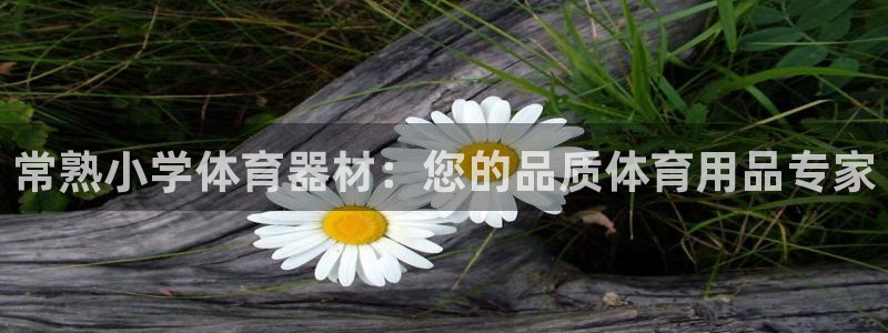 极悦平台和蓝狮平台区别在哪：常熟小学体育器材：您的品