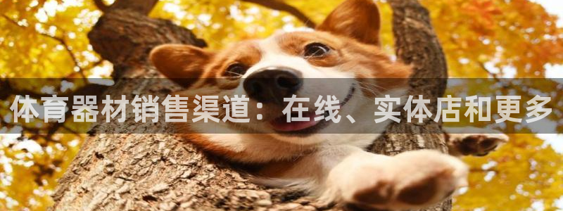 极悦官网下载最新版本更新内容视频：体育器材销售渠道：