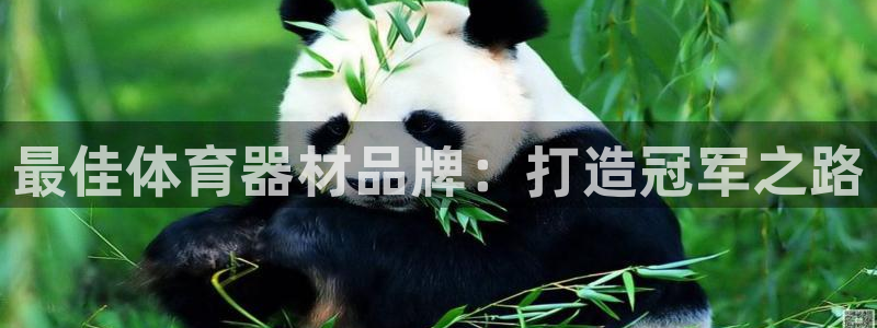极悦平台使用注意事项有哪些：最佳体育器材品牌：打造冠