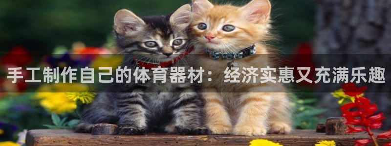 极悦平台和蓝狮平台区别是什么：手工制作自己的体育器材