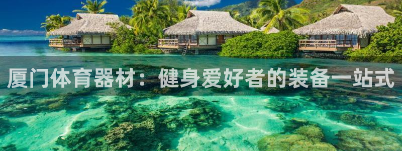 极悦平台下载安装：厦门体育器材：健身爱好者的装备一站