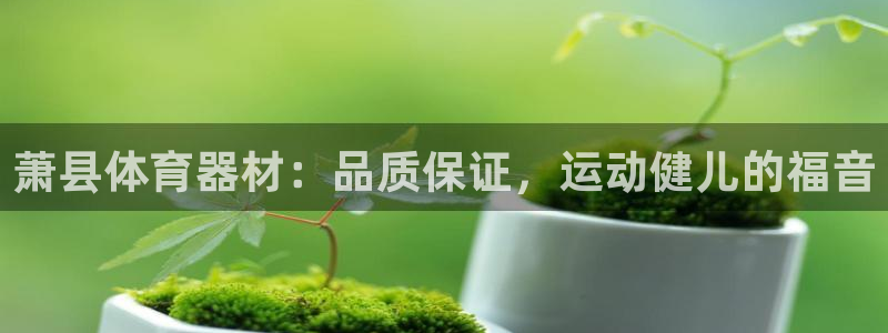 极悦平台下载安装：萧县体育器材：品质保证，运动健儿的