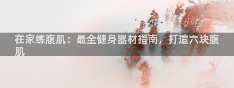 极悦平台官网登录网址是什么：在家练腹肌：最全健身器材