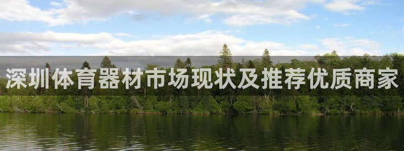 极悦平台用户评价与反馈在哪里：深圳体育器材市场现状及推荐优质