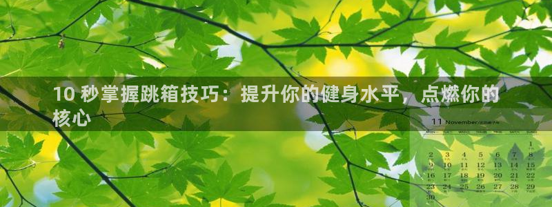 极悦娱乐官网入口网站：10 秒掌握跳箱技巧：提升你的