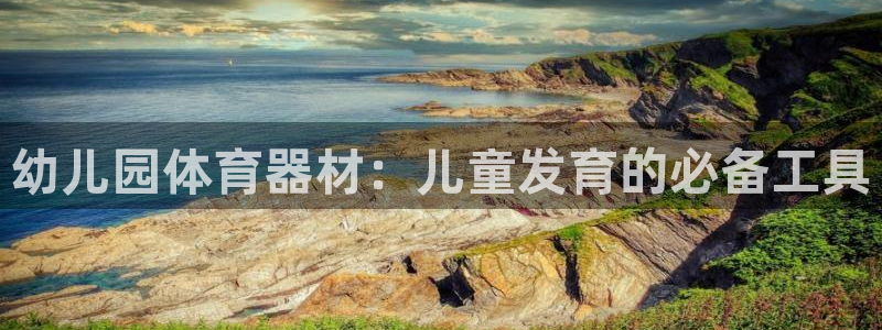 极悦平台登录人7.0.2.4登录入口：幼儿园体育器材