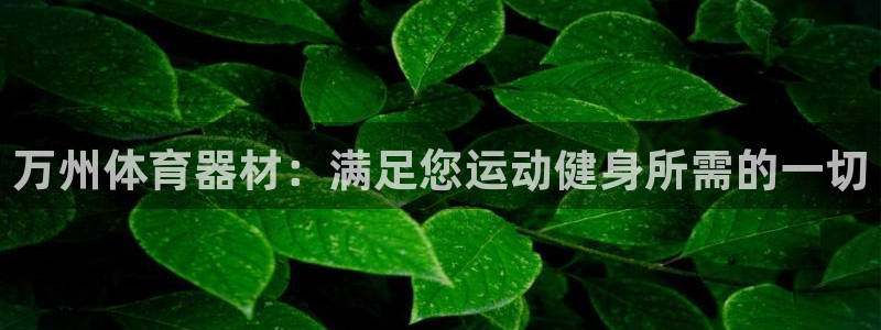 极悦娱乐负责人：万州体育器材：满足您运动健身所需的一