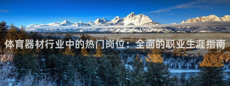 极悦平台官网登录入口网址查询：体育器材行业中的热门岗