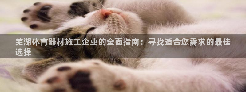 极悦平台用户评价与反馈怎么设置：芜湖体育器材施工企业