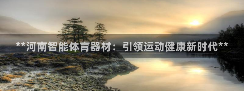 极悦平台注册用户名验证码是什么：**河南智能体育器材
