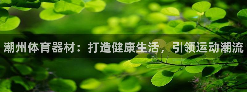 极悦平台客服投诉电话是多少：潮州体育器材：打造健康生