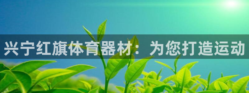 极悦平台代理怎么赚钱的：兴宁红旗体育器材：为您打造运