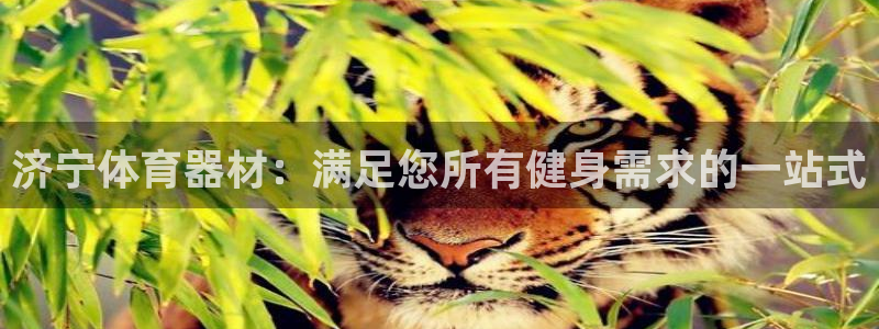极悦官网：济宁体育器材：满足您所有健身需求的一站式