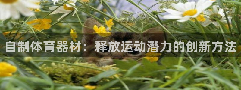 极悦平台股东是谁：自制体育器材：释放运动潜力的创新方