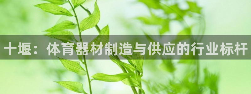 极悦娱乐挂机赚钱是真的吗知乎：十堰：体育器材制造与供