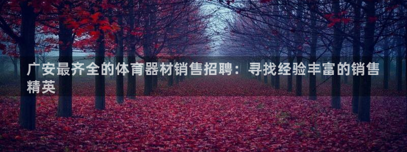 极悦平台用户反馈和反馈：广安最齐全的体育器材销售招聘