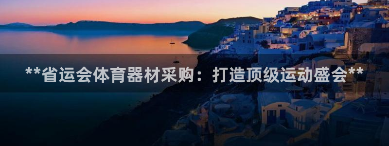 极悦平台登录最新版本更新内容在哪：**省运会体育器材采购：打